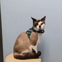 Davis Ford Animal Hospital ico