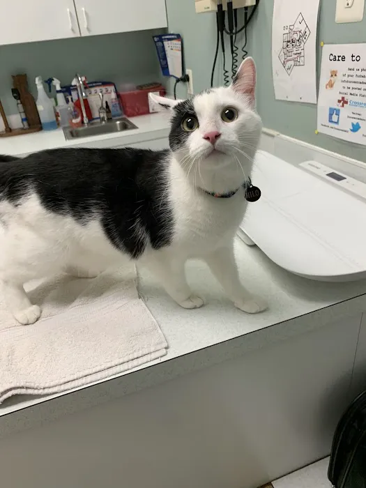 Crossroads Animal Care Center 7