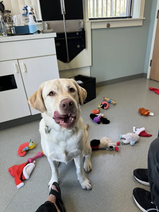 Crossroads Animal Care Center 2