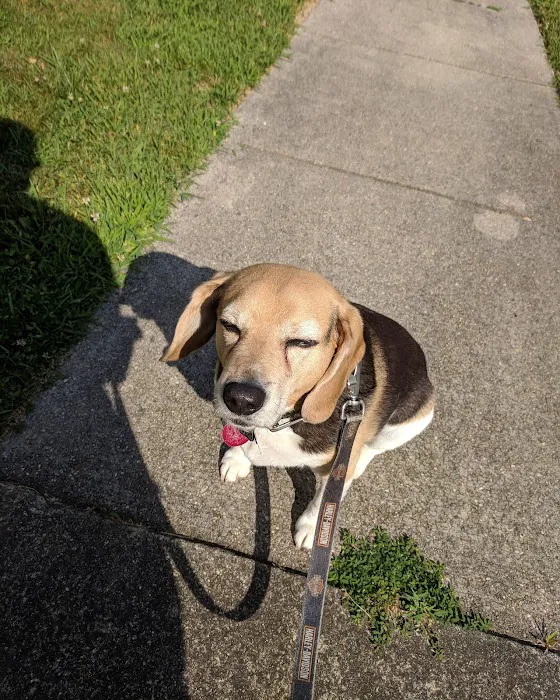 Crossroads Animal Care Center 5
