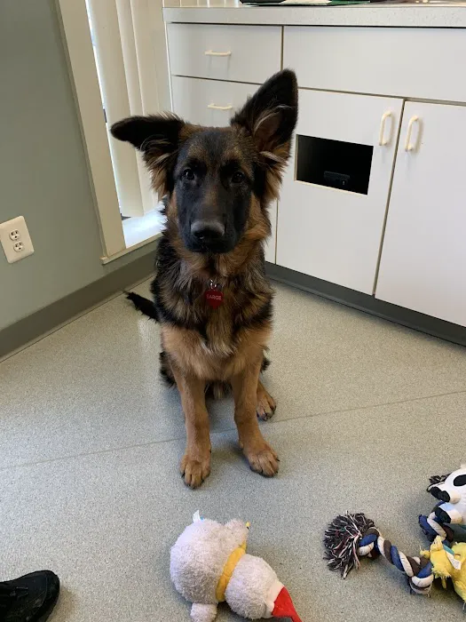 Crossroads Animal Care Center 8