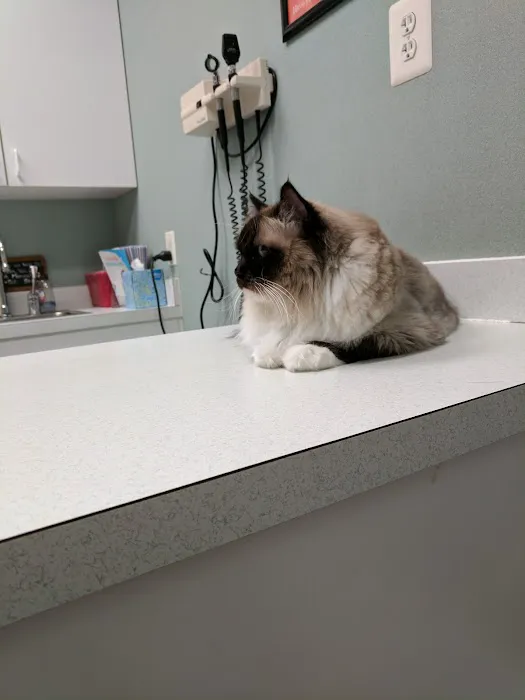 Crossroads Animal Care Center 6