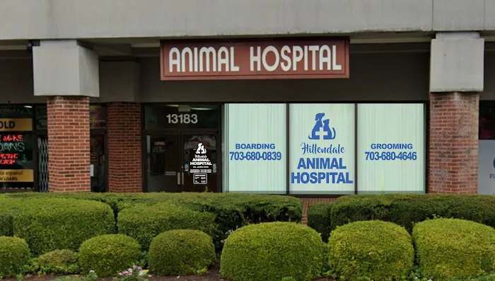 Hillendale Animal Hospital 3