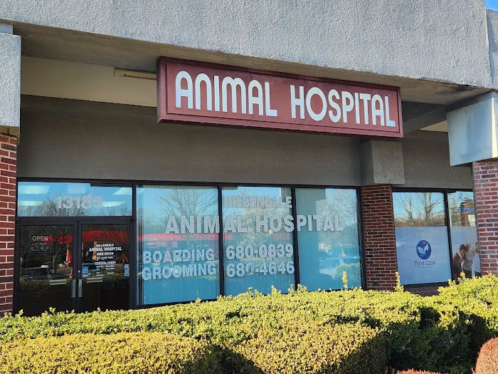 Hillendale Animal Hospital 2
