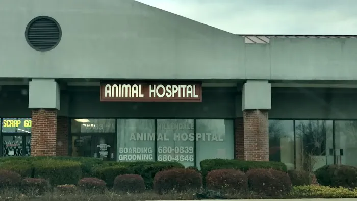 Hillendale Animal Hospital 1