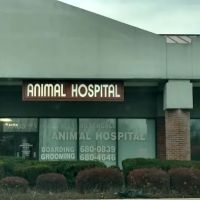 Hillendale Animal Hospital ico
