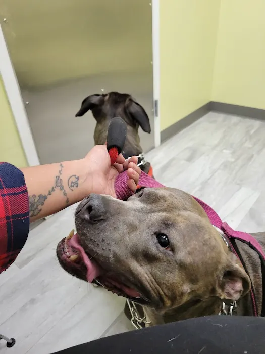Pets R Family Animal Hospital 5