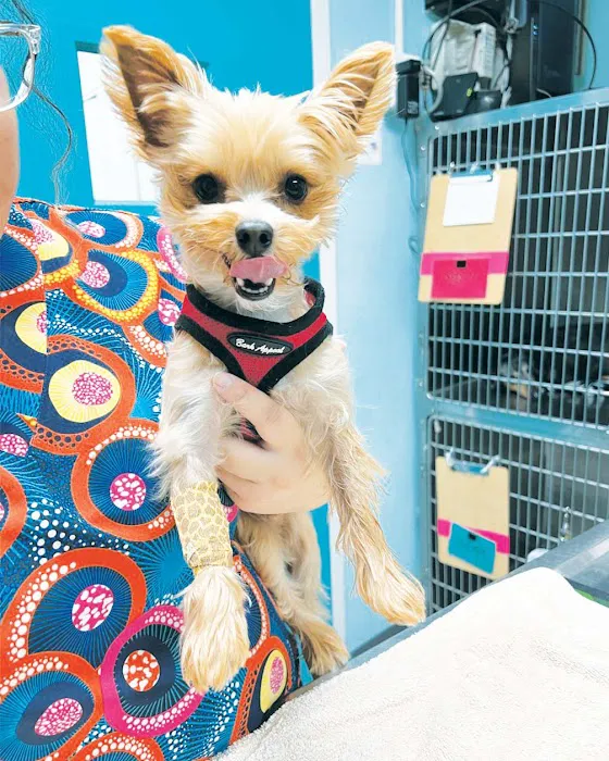 Minnieville Animal Hospital 5