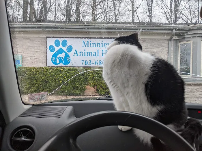 Minnieville Animal Hospital 7