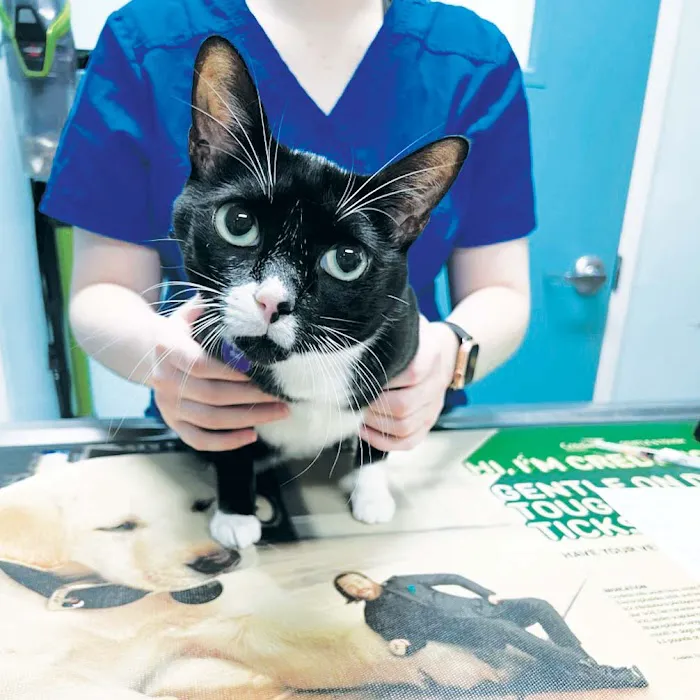 Minnieville Animal Hospital 4
