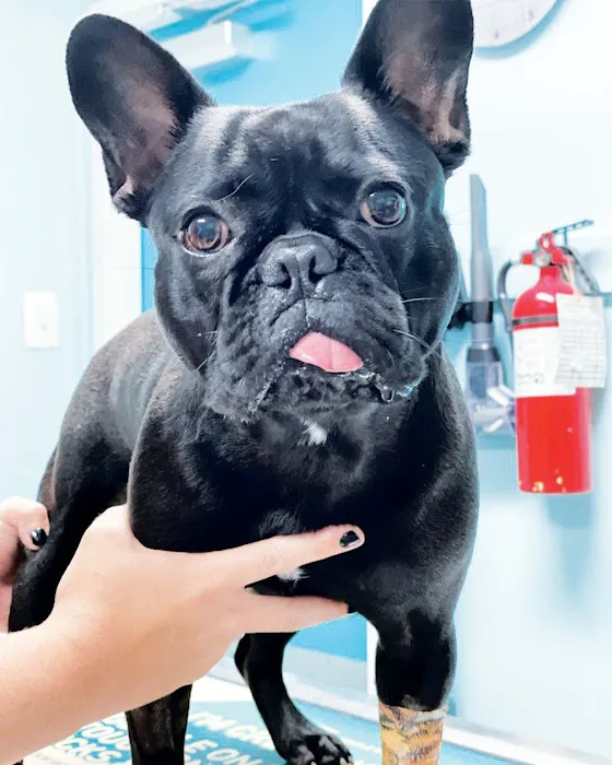 Minnieville Animal Hospital 3