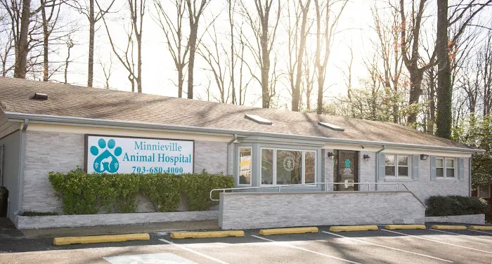 Minnieville Animal Hospital 1