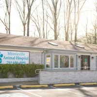 Minnieville Animal Hospital ico