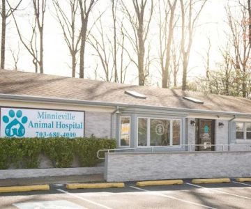 Minnieville Animal Hospital