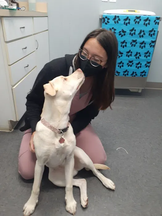 Dale City Animal Hospital 2