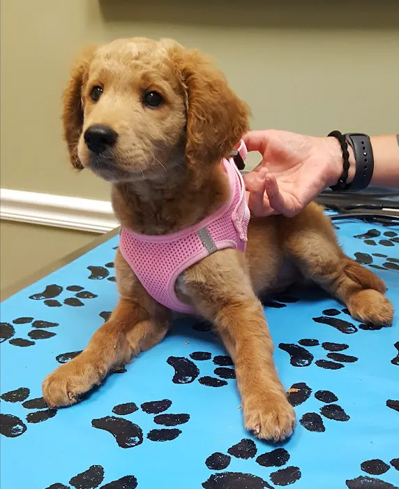 West Friendship Animal Hospital 12