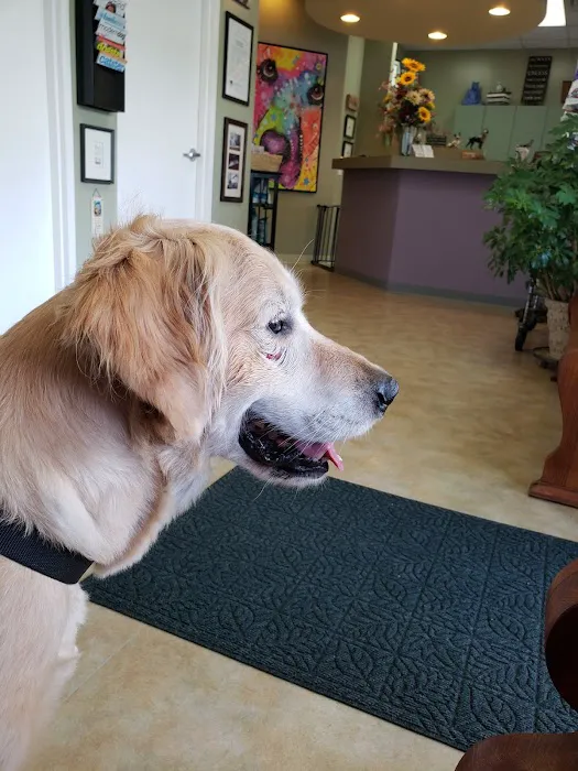 West Friendship Animal Hospital 12