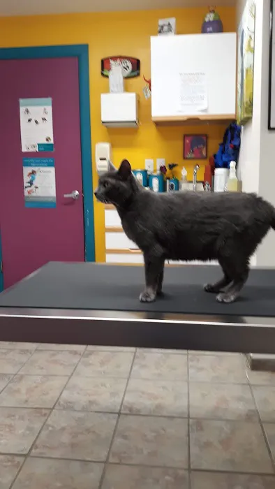 Carrolltown Veterinary Hospital 12