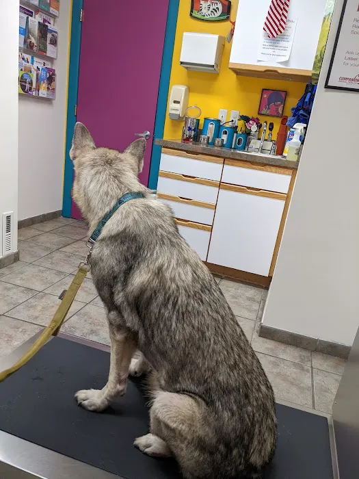 Carrolltown Veterinary Hospital 12