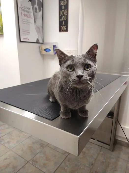 Carrolltown Veterinary Hospital 12