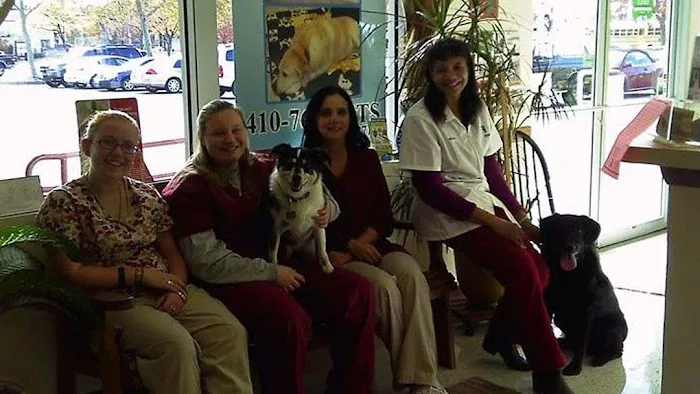 Alpha Veterinary Center 1