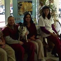 Alpha Veterinary Center ico