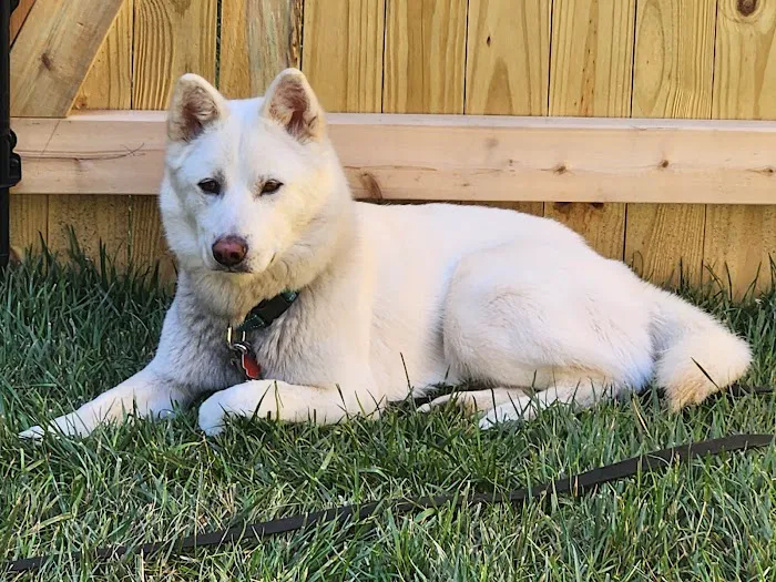 Alpha Veterinary Center 7
