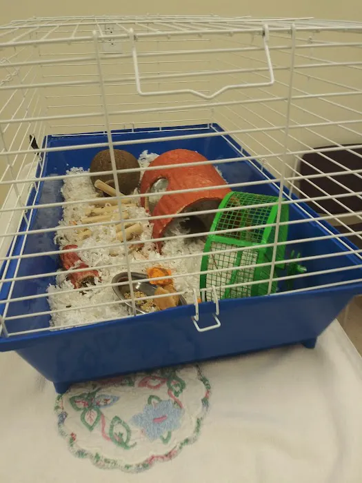 Alpha Veterinary Center 5