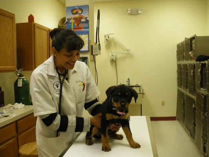 Alpha Veterinary Center 6