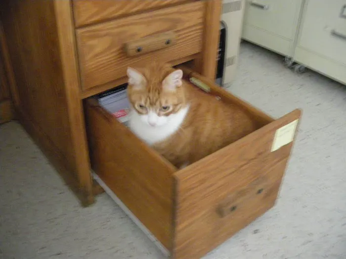 Alpha Veterinary Center 8