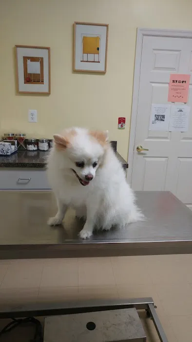 Animal Clinic of Southgate 1