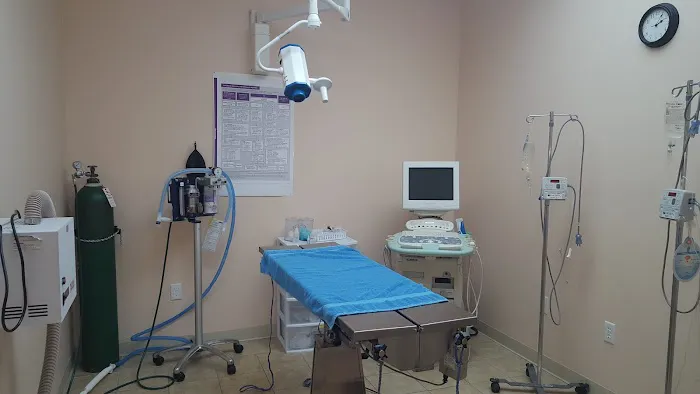 Croydon Pet Hospital 2