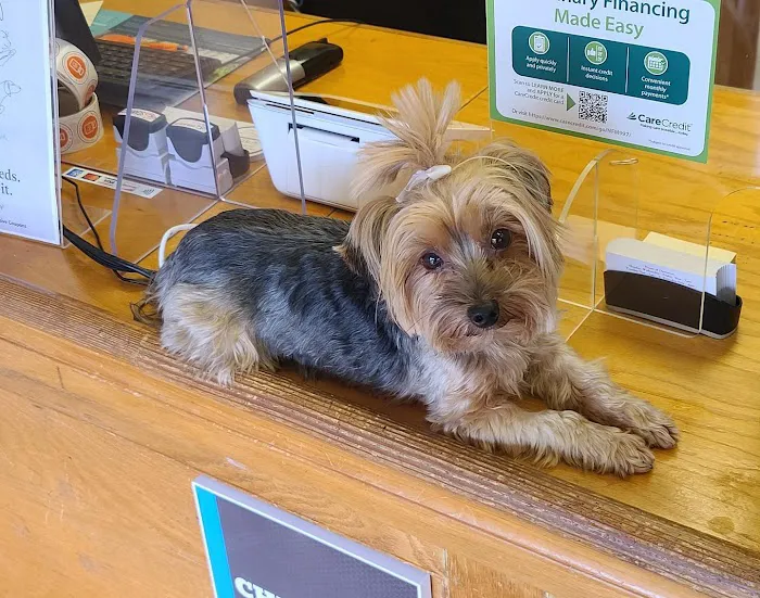 Croydon Pet Hospital 5
