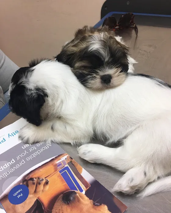 Croydon Pet Hospital 6