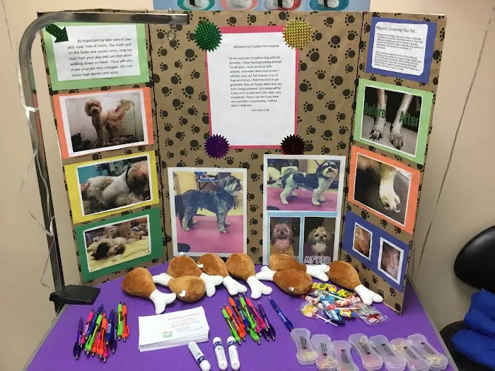 Croydon Pet Hospital 10