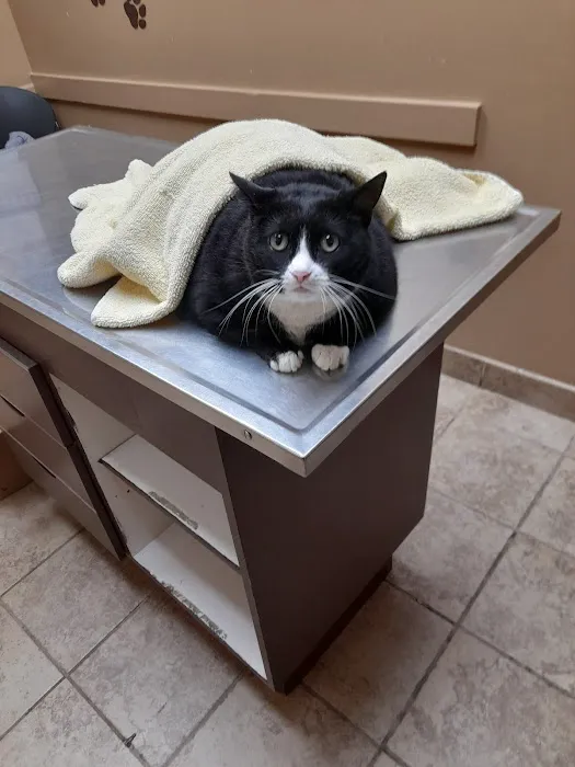 Glen Burnie Animal Hospital 1