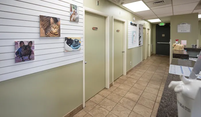 Glen Burnie Animal Hospital 5