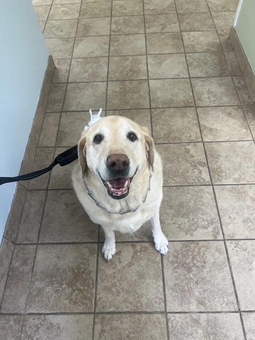 Glen Burnie Animal Hospital 9