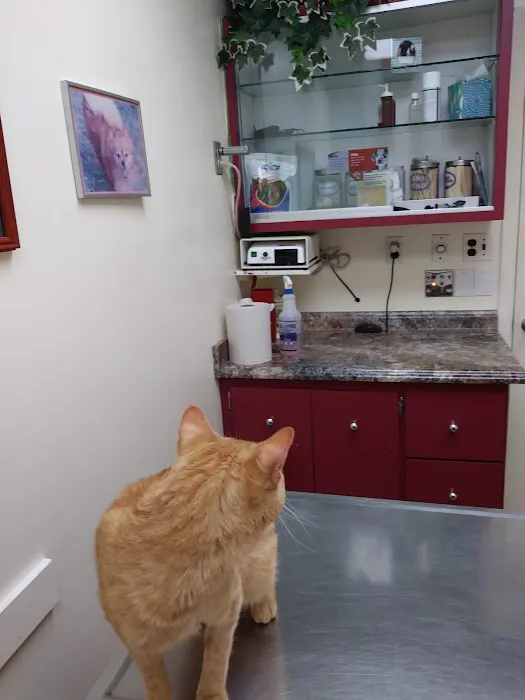 Glen Burnie Animal Hospital 10