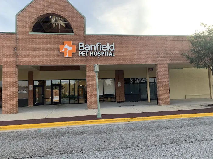 Banfield Pet Hospital 3