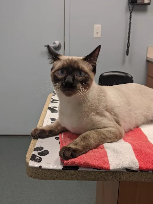 Huffard Animal Hospital 3