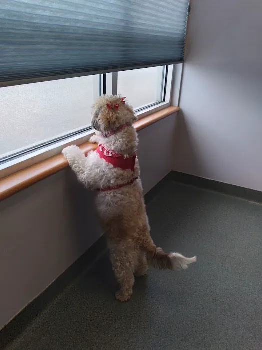 Huffard Animal Hospital 5