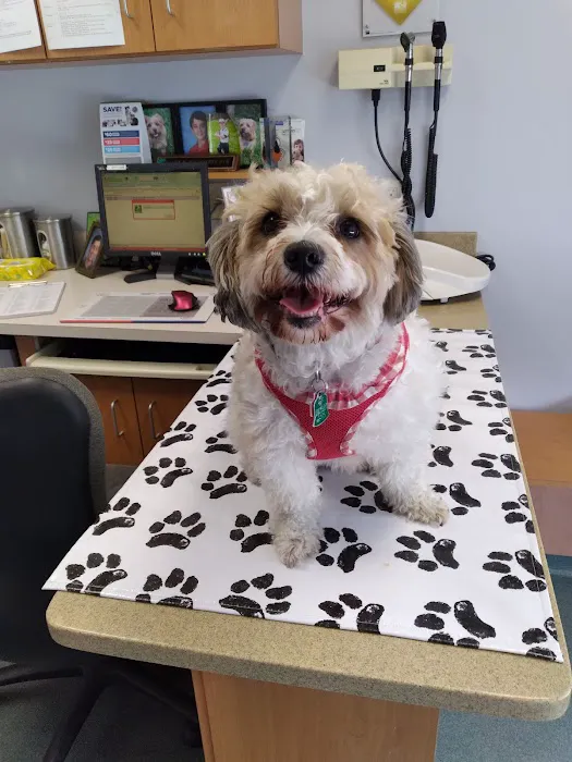 Huffard Animal Hospital 10