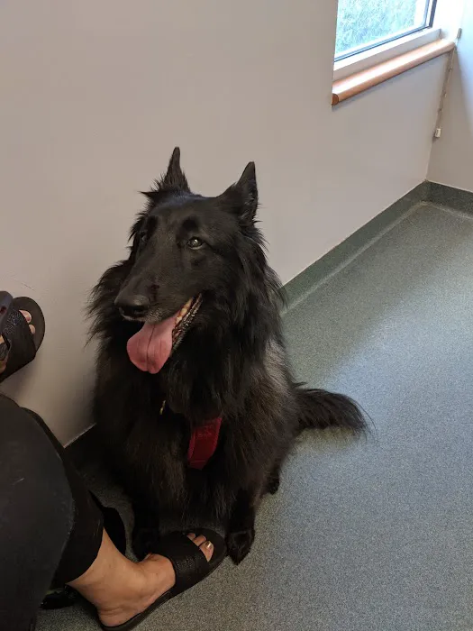 Huffard Animal Hospital 9