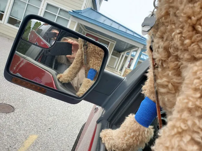 Huffard Animal Hospital 8