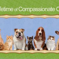 Huffard Animal Hospital ico