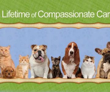 Huffard Animal Hospital