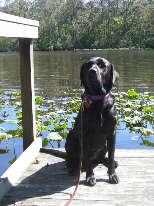 Severn River Animal Hospital 4