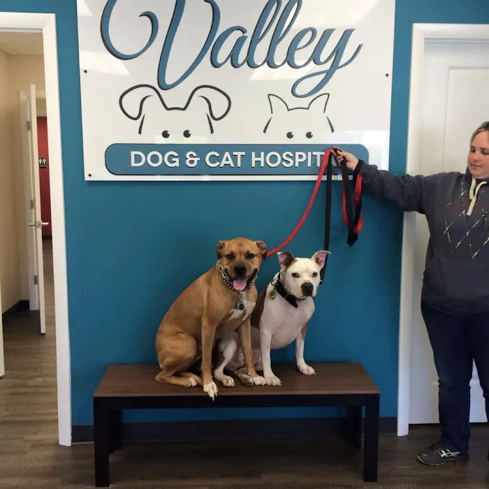Valley Dog & Cat Hospital 3