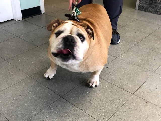 Owings Mills Veterinary Center 5